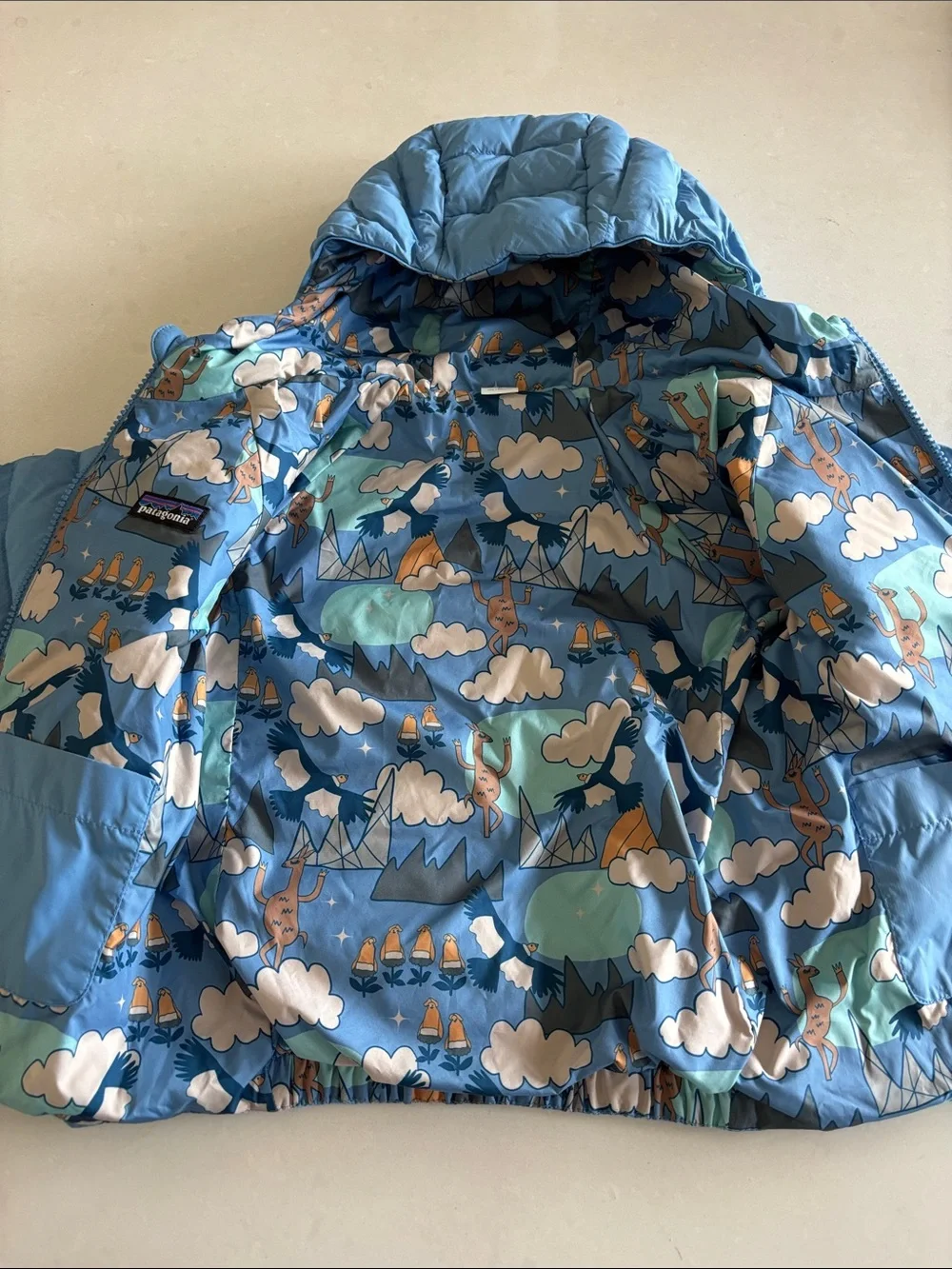Patagonia Light Blue Kids Puffer Jacket with Hood